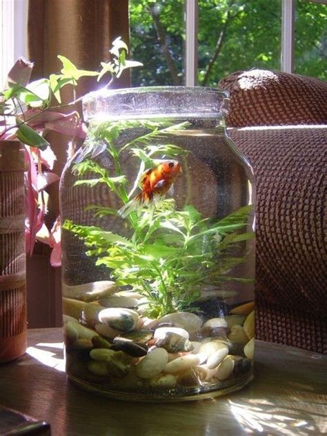 glass jar fish